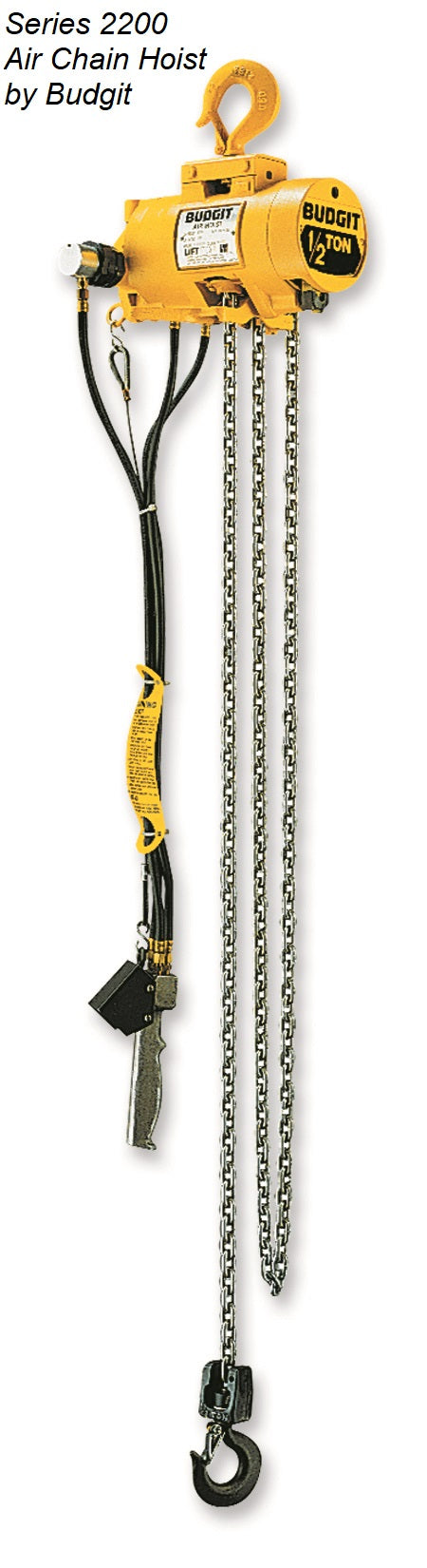 Chain Hoists by Budgit Hoist - 0