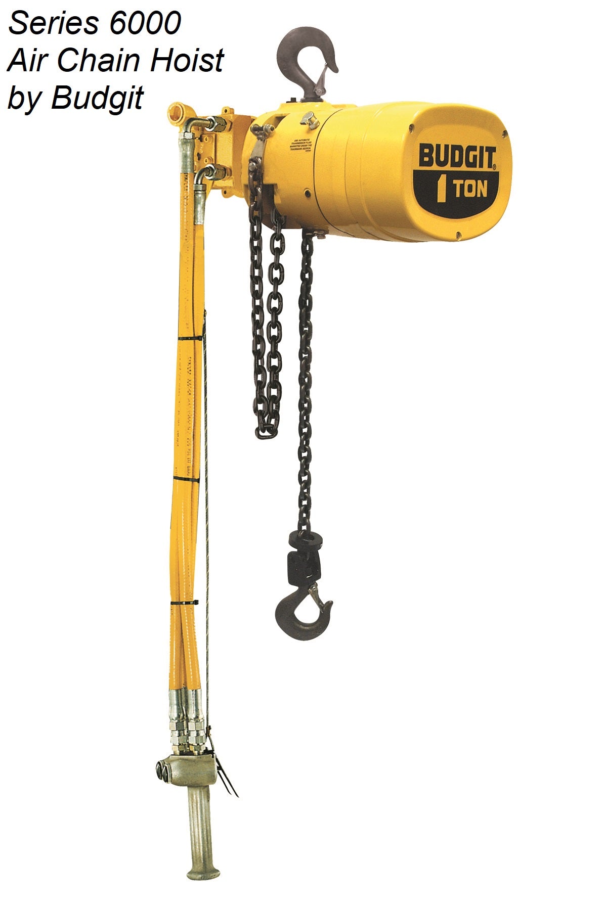 Chain Hoists by Budgit Hoist